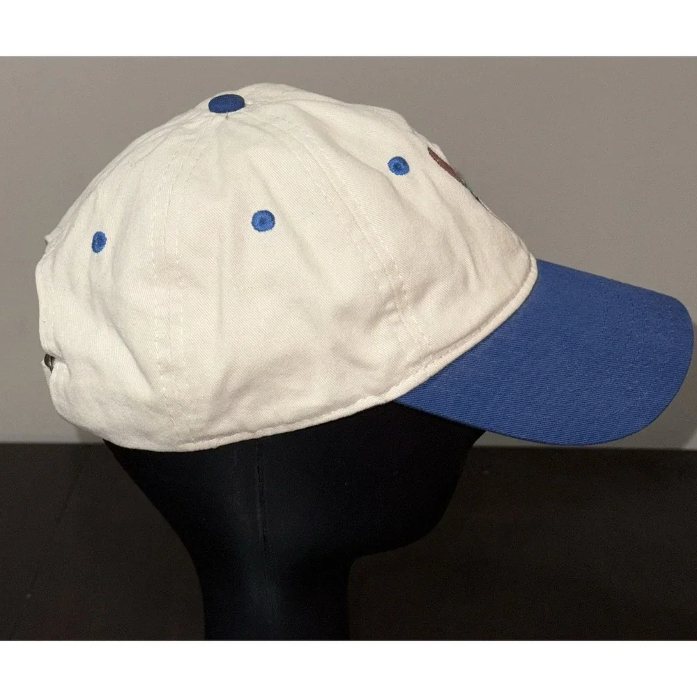 Disney Lilo & Stitch Pineapple Embroidered Baseball Hat Cap Blue Tan Youth Child